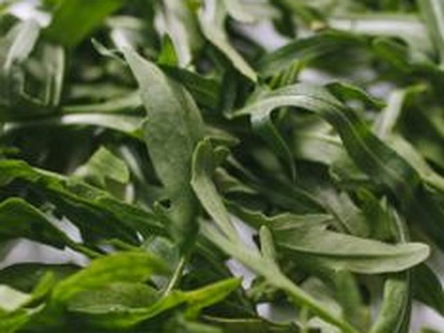 Arugula