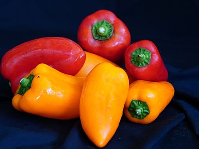 Bell Pepper