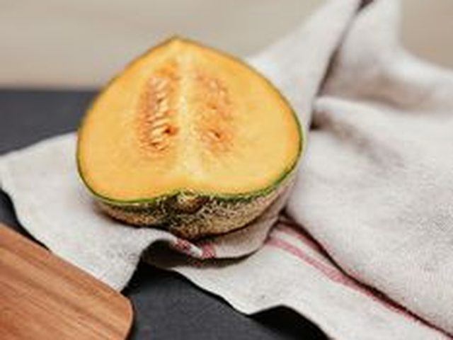 Cantaloupe