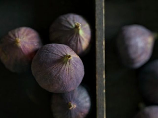 Fresh Figs