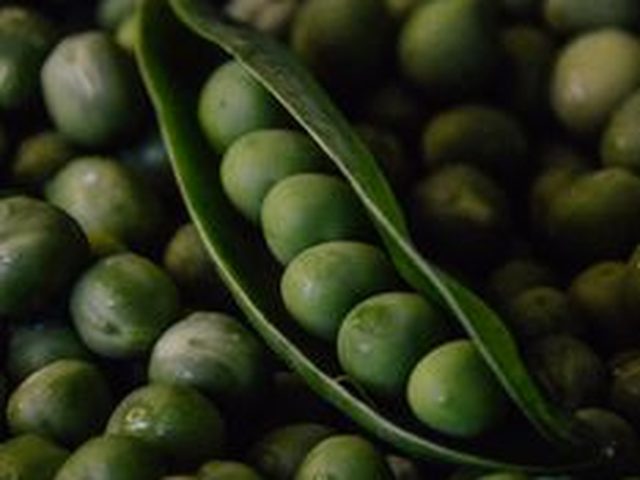 Green Peas