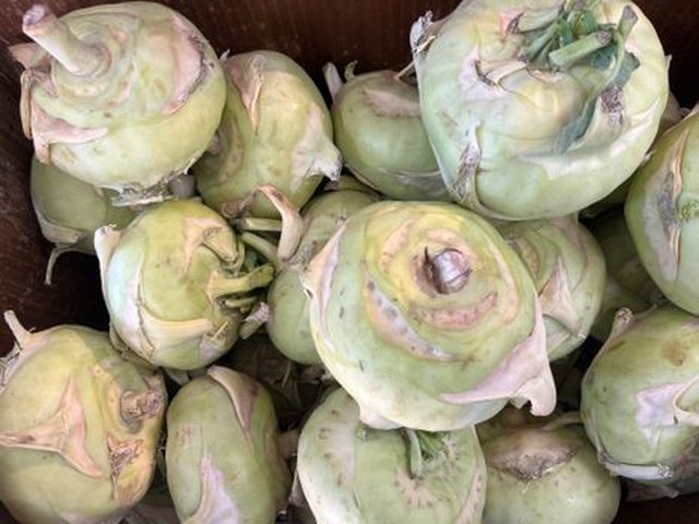 Kohlrabi