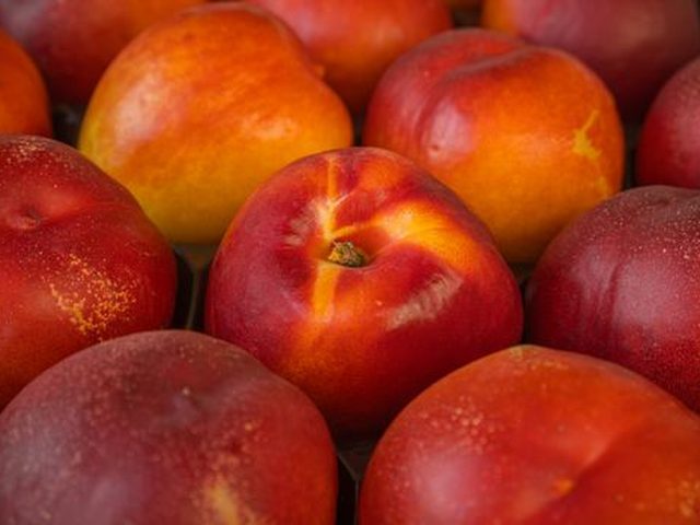 Nectarine
