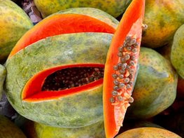 Papaya