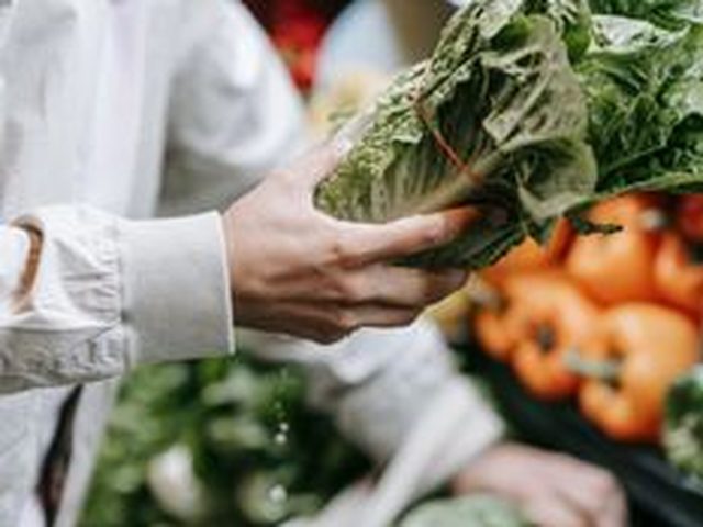 Romaine Lettuce