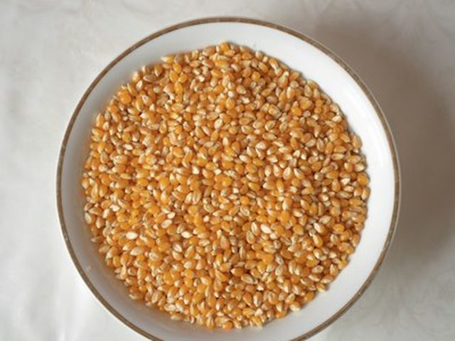 Wheat Bran